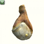 Ham